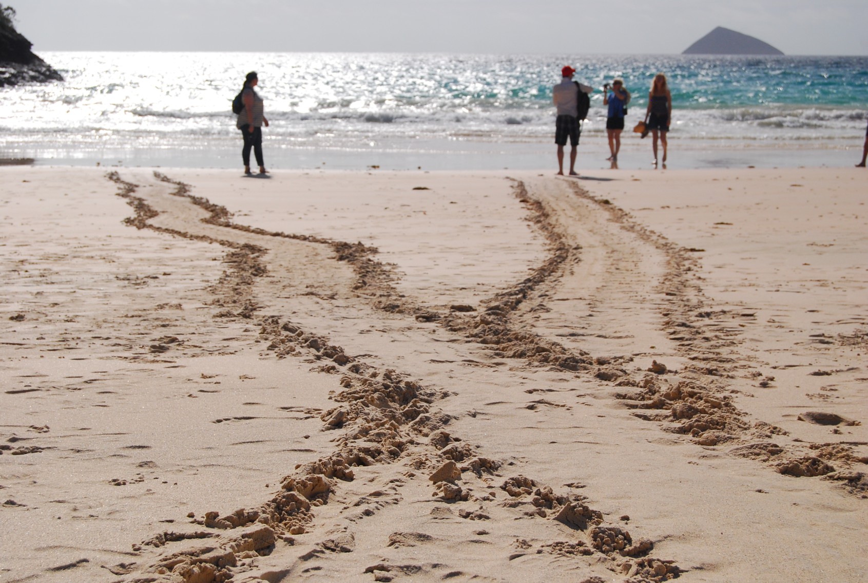 galapagos sand
