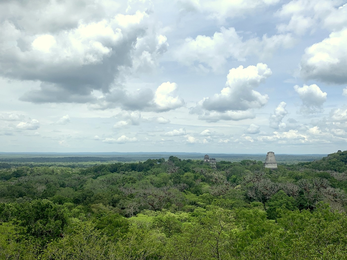 GUA_Tikal_BZR(1)