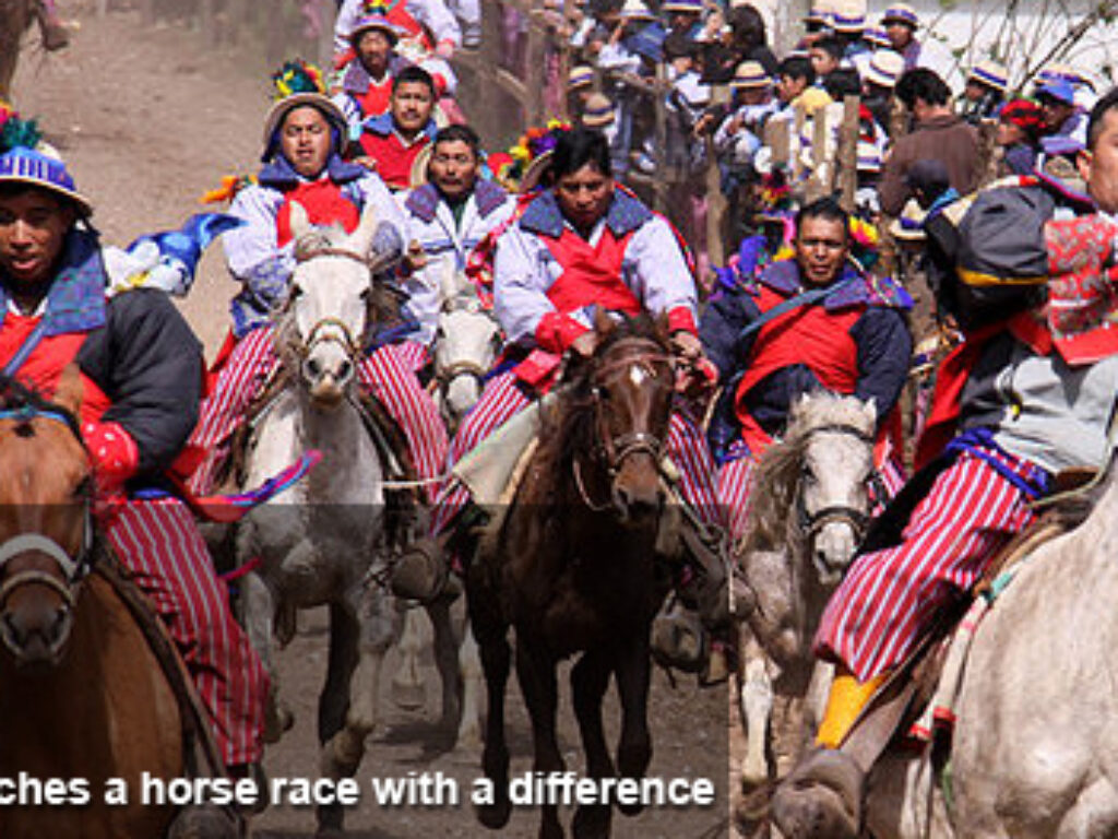 GUA_WackyRaces_MaxWoodridge_freewithcredit