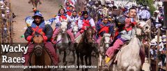 GUA_WackyRaces_MaxWoodridge_freewithcredit