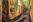 Ile St Joseph cells jungle encroachment Ile St Joseph cells jungle encroachment