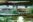 GUY_Karanambu_GiantRiverOtters_FREE GUY_Karanambu_GiantRiverOtters_FREE