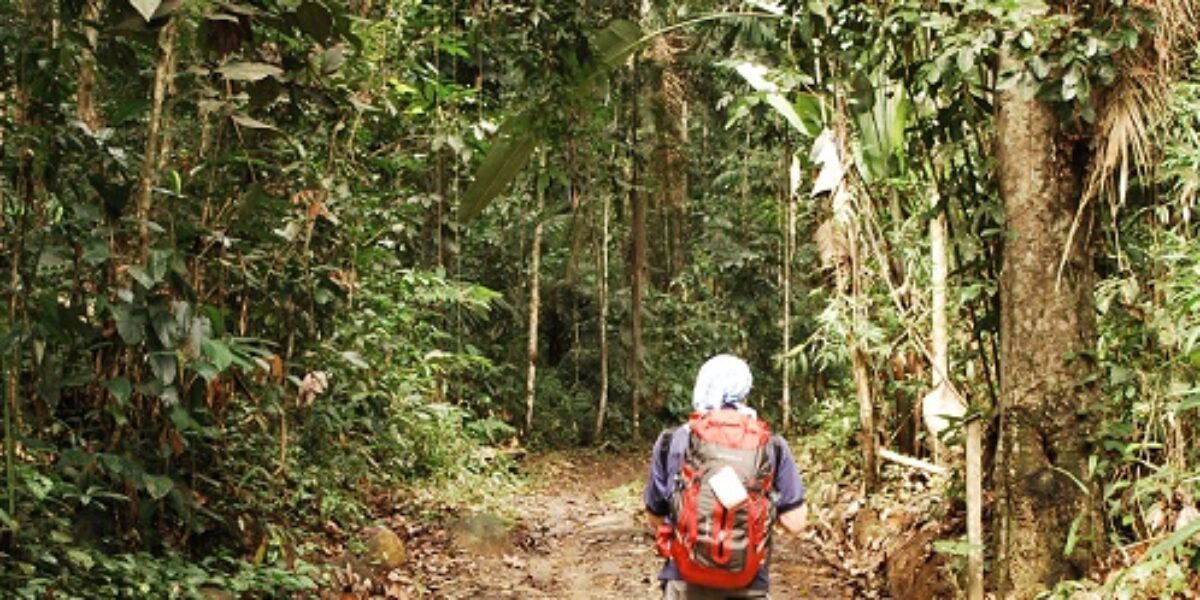 GUY_TrailBlazingThroughTheGuianas_TP_free