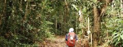 GUY_TrailBlazingThroughTheGuianas_TP_free