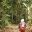 GUY_TrailBlazingThroughTheGuianas_TP_free