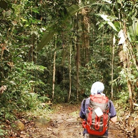 GUY_TrailBlazingThroughTheGuianas_TP_free