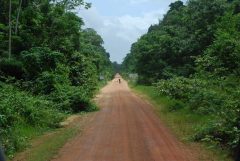 guyana-cp4-guy-lethemgeorgetownroad-free-cp