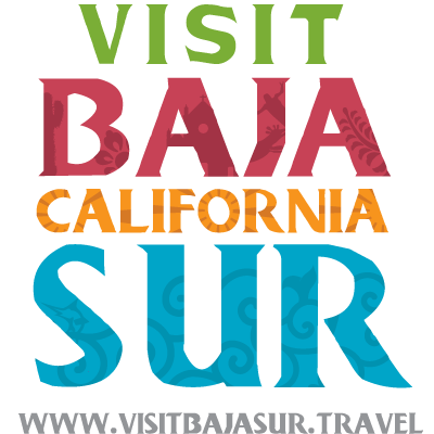 Logo Visit BCS