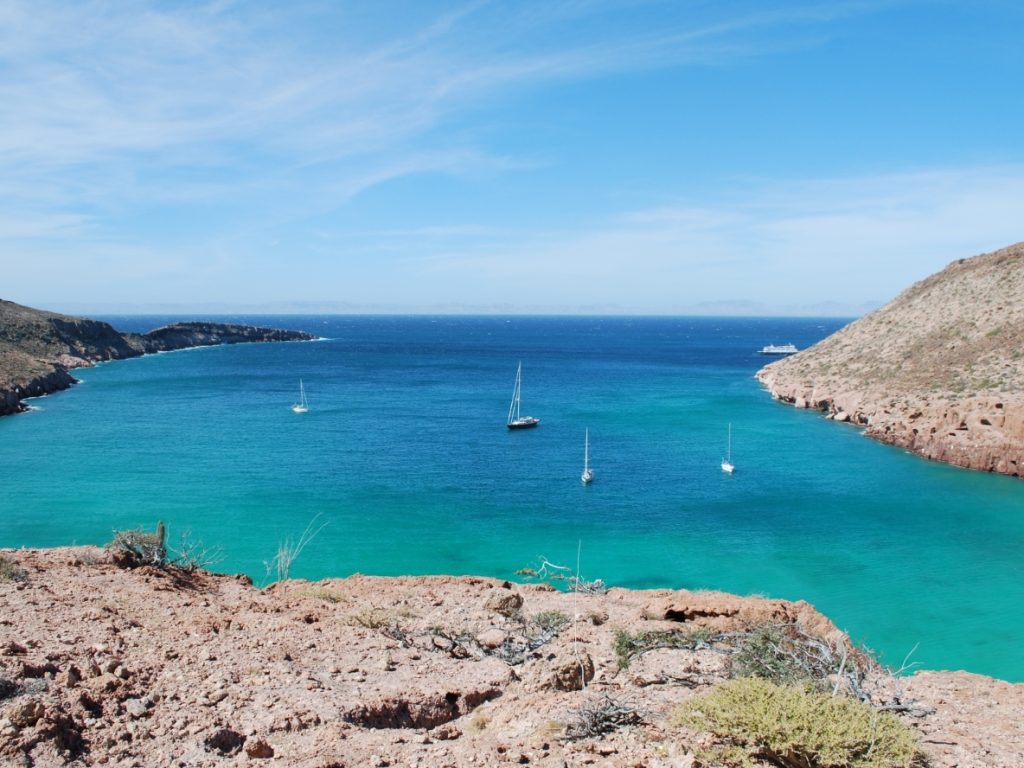 MEX_BajaCalifornia_IslaPartida_CJ_freewithcredit