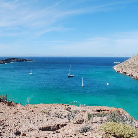MEX_BajaCalifornia_IslaPartida_CJ_freewithcredit