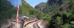 MEX_CopperCanyon_condor_freewithcredit