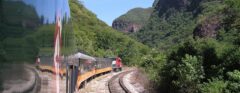 MEX_CopperCanyon_condor_freewithcredit