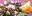 MEX_grasshoppersCropped_shutterstock_freewithcredit MEX_grasshoppersCropped_shutterstock_freewithcredit