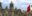 MEX_MexCity_ZocaloSquare_free_iStock_000022271576_Full MEX_MexCity_ZocaloSquare_free_iStock_000022271576_Full