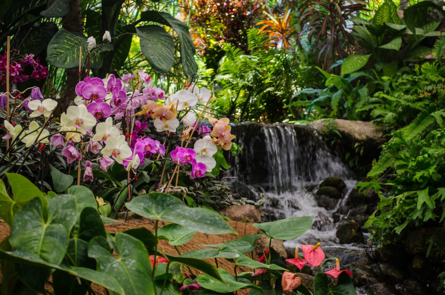 Gardens of Mexico Journey Latin America