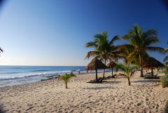pdc-mexho001-mex-playadelcarmen-free