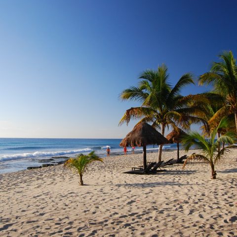 pdc-mexho001-mex-playadelcarmen-free