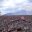 NIC_TelicaVolcano_RA_free