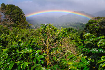 PAN_ Rainbow over boquete_ shutterstock 141126076