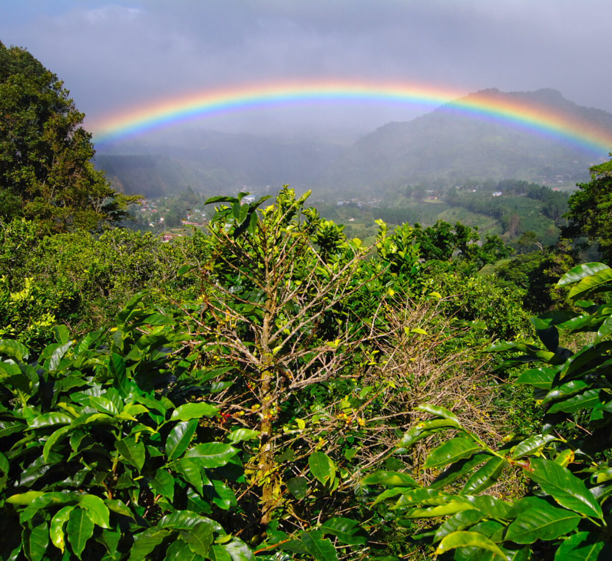 PAN_ Rainbow over boquete_ shutterstock 141126076