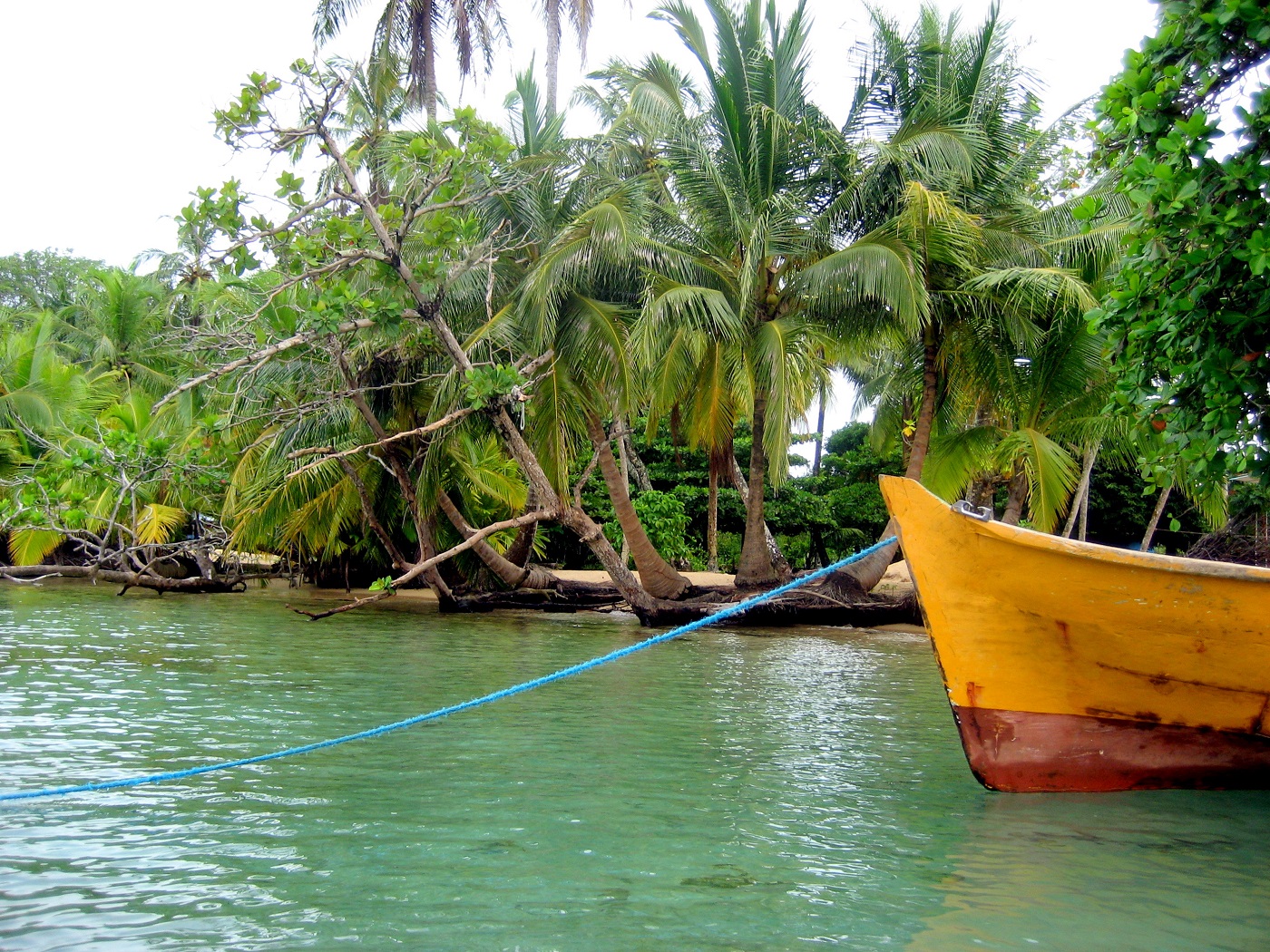 PAN_BocasDelToro_CP_free
