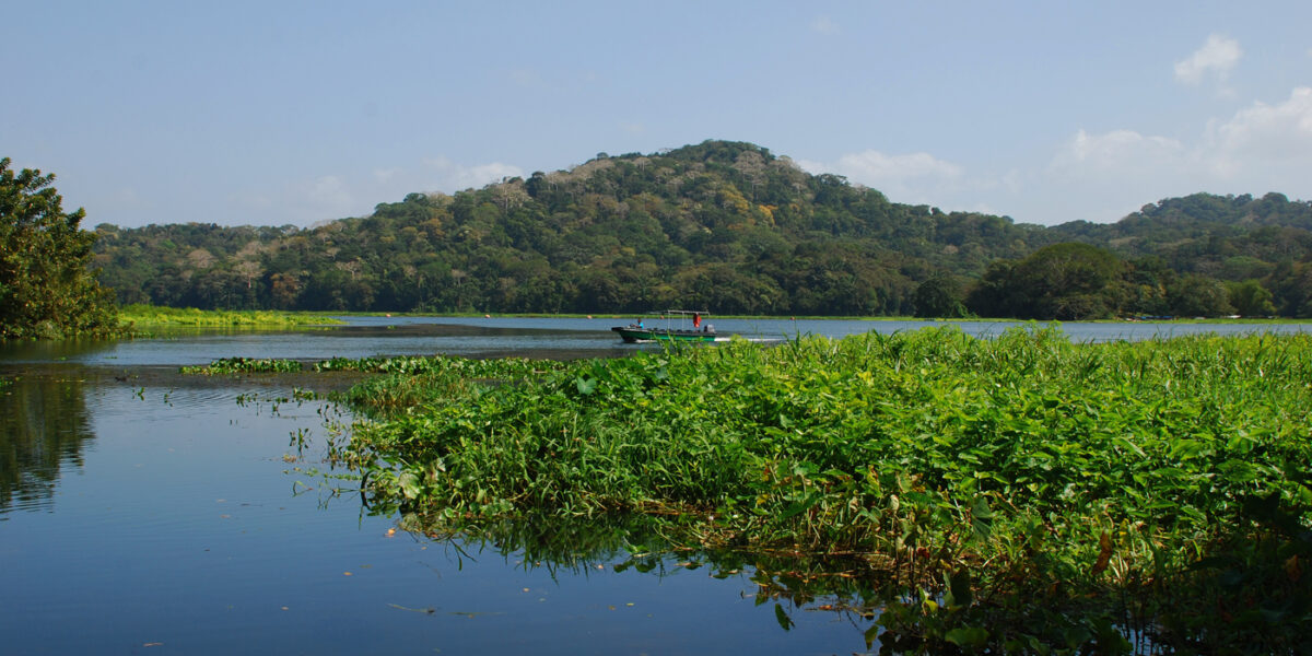 Lake Gatún