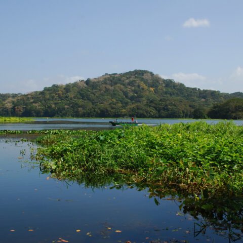 Lake Gatún