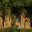 PER_claylick_crees_free