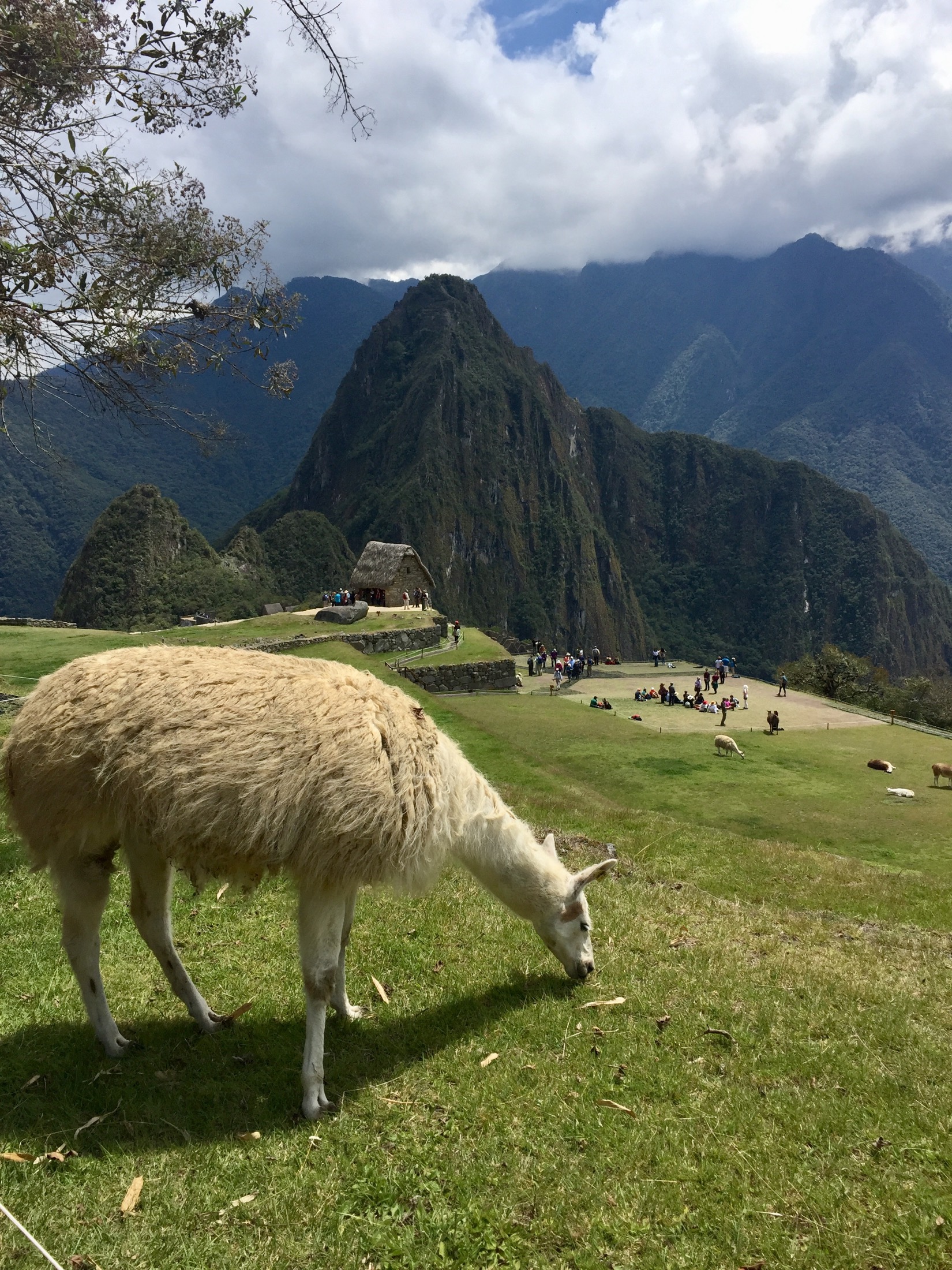 PER_MachuPicchu_SB