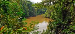 PER_NapoRiverAmazon_shutterstock135584216_freewithcredit