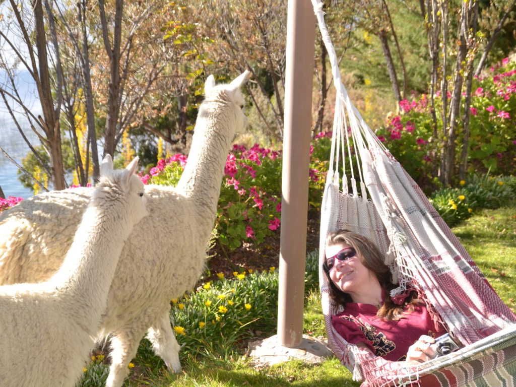 PER_PeruvianHomestay_Suasi_IM_Free