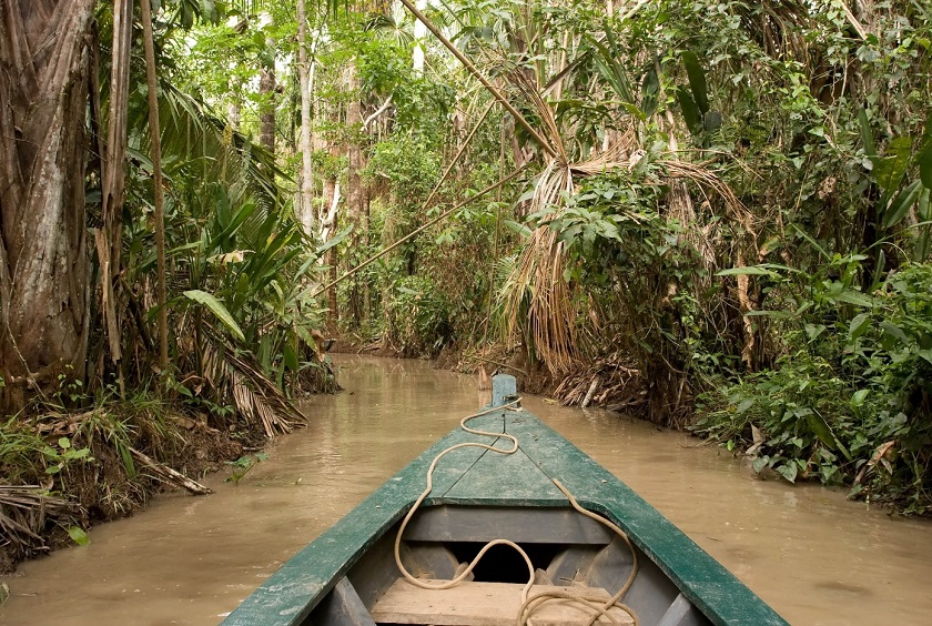 peru amazon