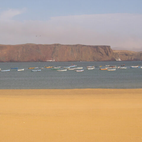 PeruParacasNazcaBeachJoaquinDedomeniciFree