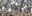 ANT_kingpenguins_SMJones_freewithcredit ANT_kingpenguins_SMJones_freewithcredit