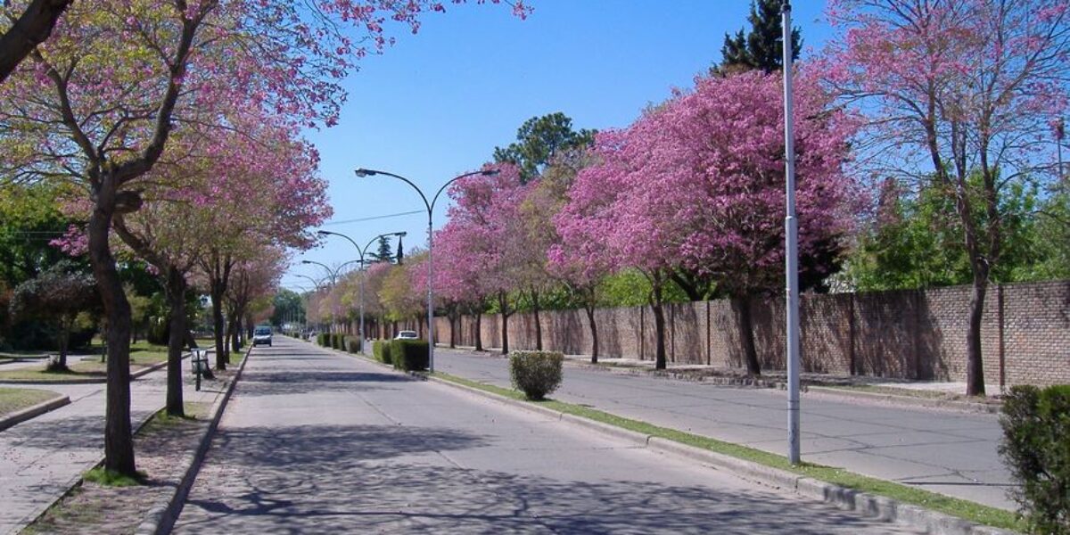 ARG_NW_San Lorenzo_Off Wikipedia
