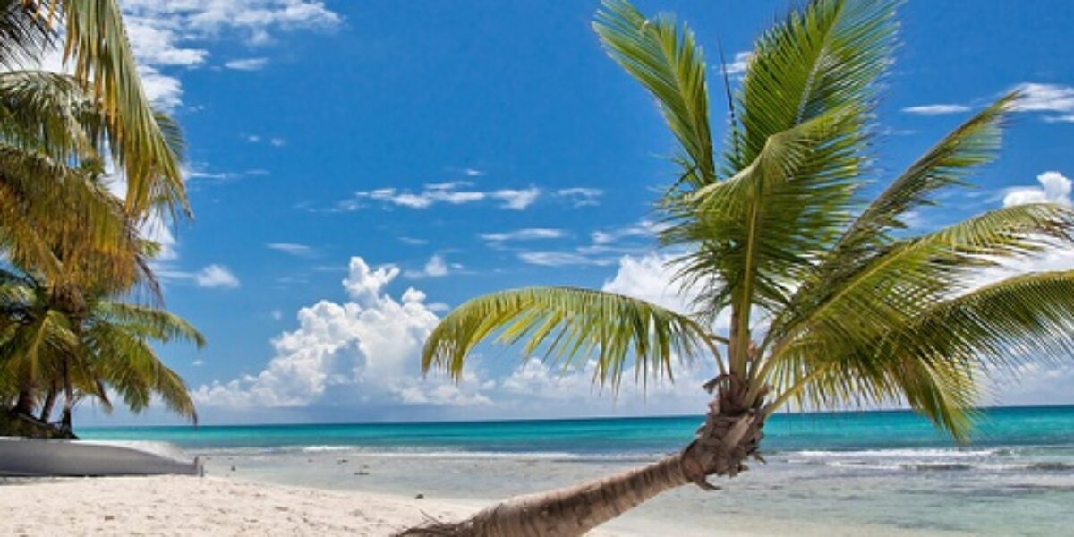 Cub_Beach_shutterstock_106294535
