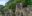 pan_panamacity_panamaviejo_shutterstock_158657162_freewithcredit pan_panamacity_panamaviejo_shutterstock_158657162_freewithcredit