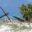 VEN_LosRoques_DontTellTheTourists_IM_free