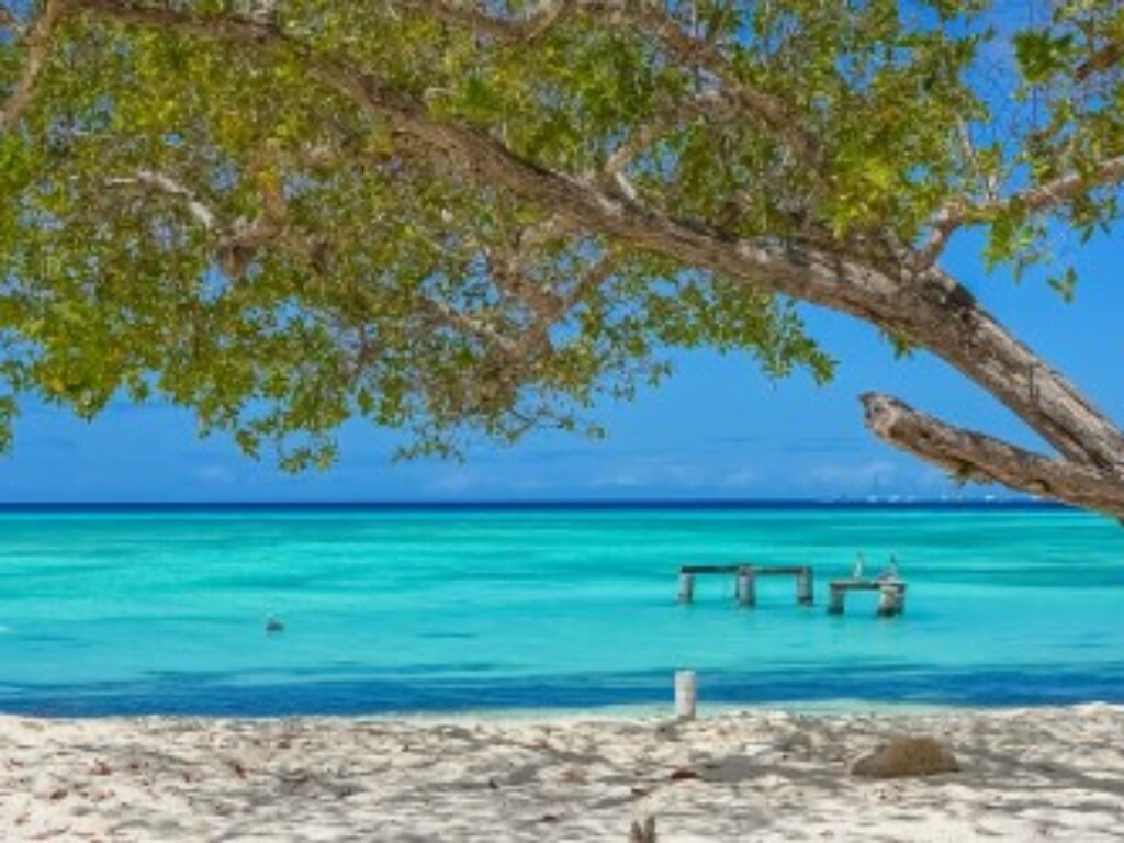 VEN_LosRoquesCrop_shutterstock195597800_freewithcredit
