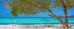 VEN_LosRoquesCrop_shutterstock195597800_freewithcredit
