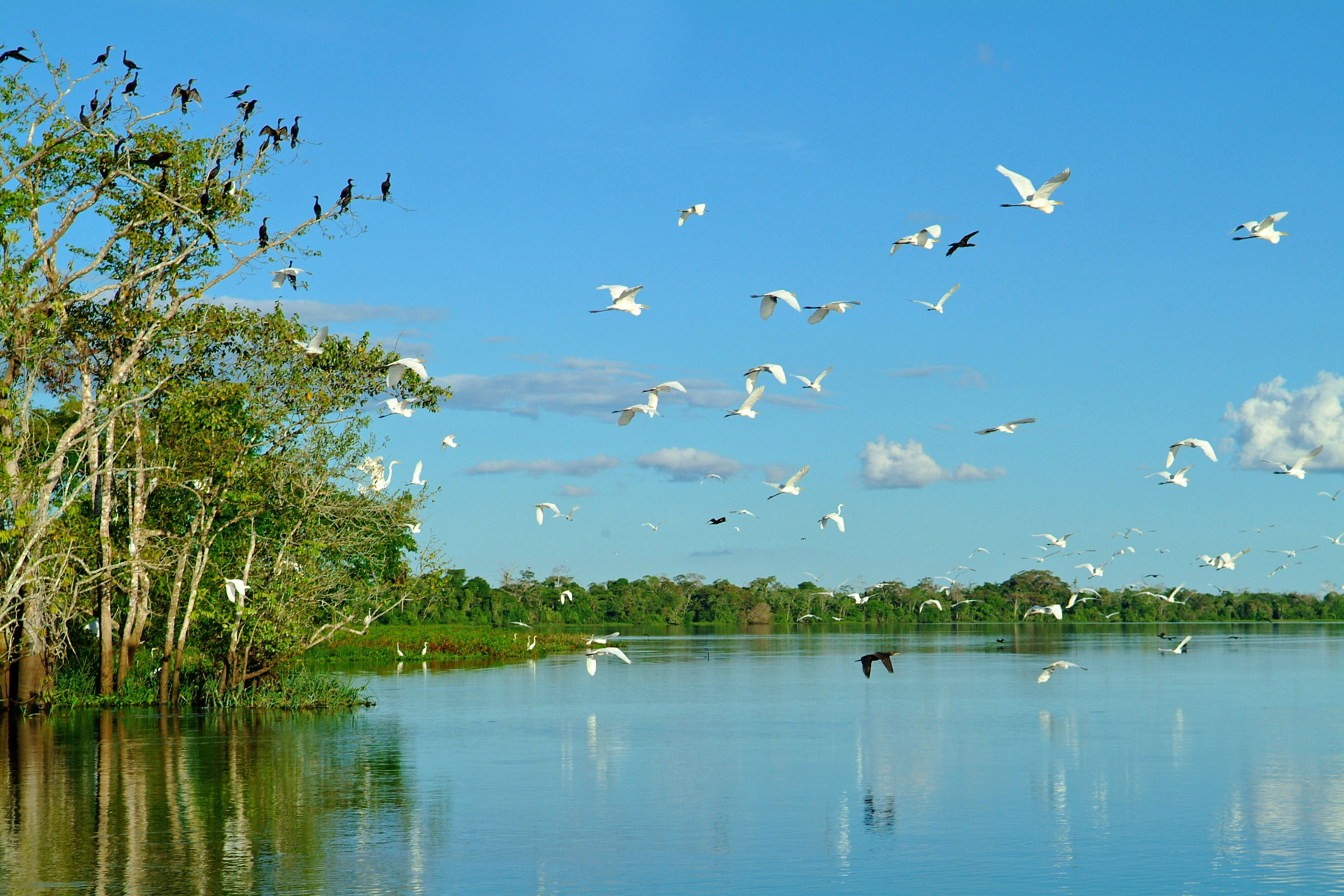 AQUA EXPEDITIONS ©