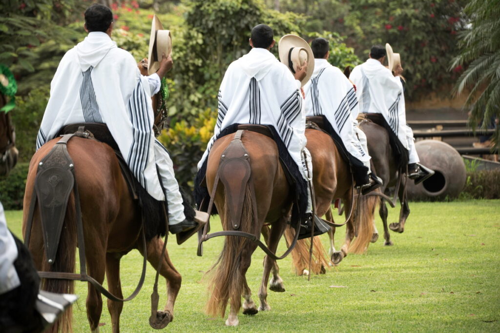 Horse Display Peru