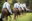 PER_HorseDisplay_shutterstock_1367744378 Horse Display Peru