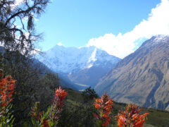 View of the Andes