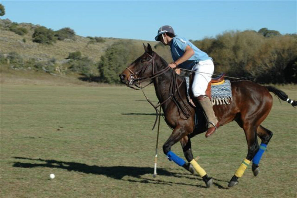 arg16-polo-free-lospotreros