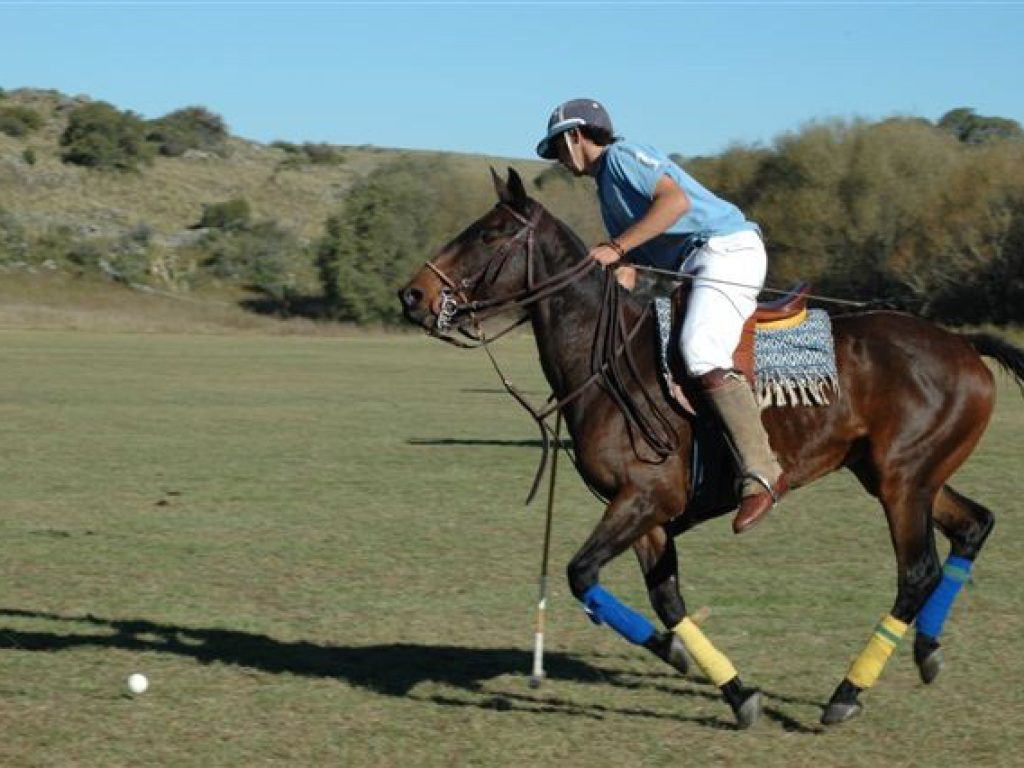 arg16-polo-free-lospotreros