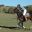 arg16-polo-free-lospotreros