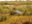 arg23-birdwatching-in-iberawetlands-free-fotoslanusse