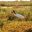 arg23-birdwatching-in-iberawetlands-free-fotoslanusse