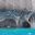 chi_puertotranquilo_marblecaves_mn_free